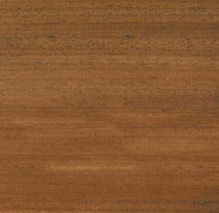 Thermo Ayous Thermo Ayous